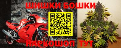 apvp Лесосибирск