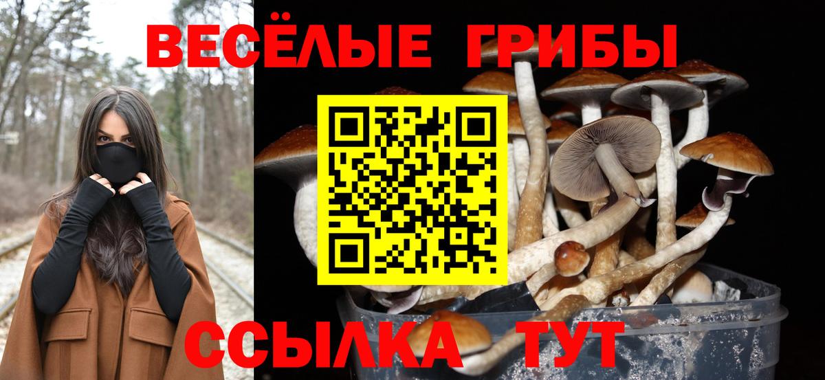 Псилоцибиновые грибы GOLDEN TEACHER Зерноград