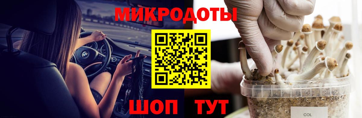 Псилоцибиновые грибы Psilocybine cubensis  Вход с VPN  Зерноград 